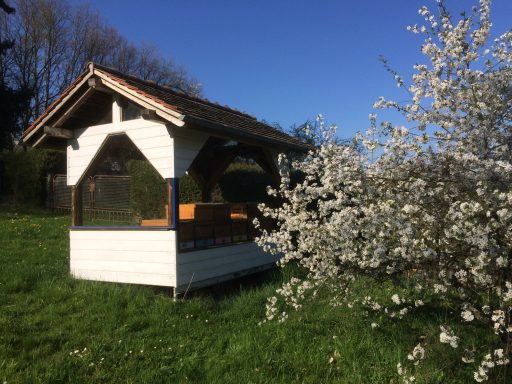 Bienenhaus hinter Kirschbaum