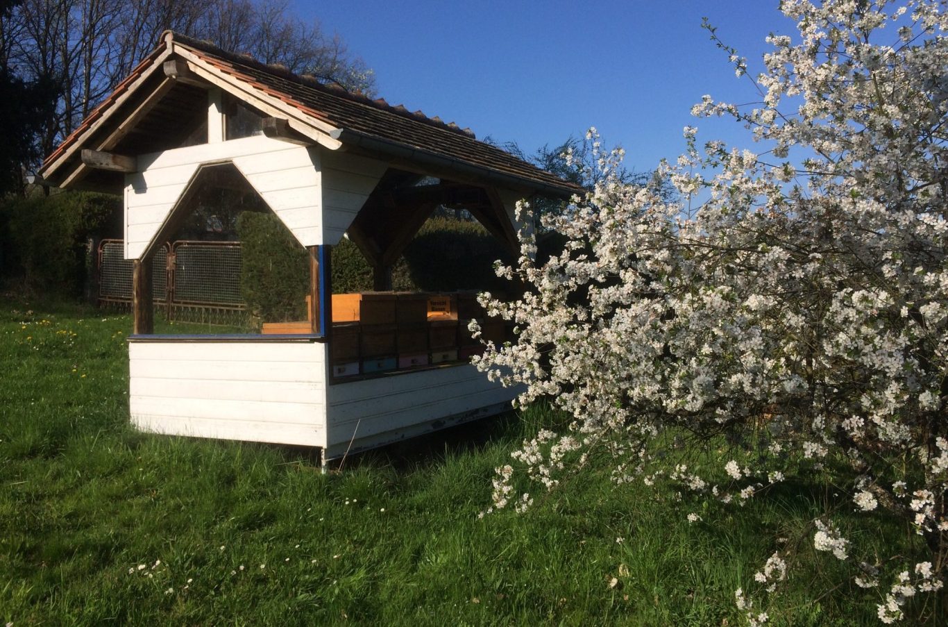 Unser Bienenhaus mit 6 Völker im Garten