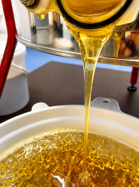Goldener Honig fließt langsam aus einer Edelstahl-Schleuder in einen weißen Behälter und zeigt die frische Verarbeitung in der Imkerei.