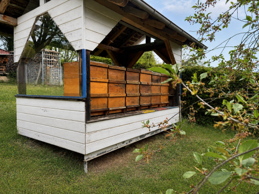 Bienenhaus mit sechs Völkern