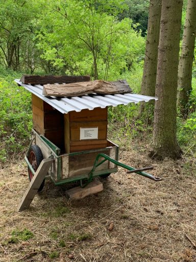 "Bienenwagen" im Wald