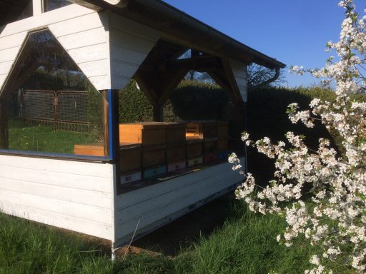 Bienenhaus