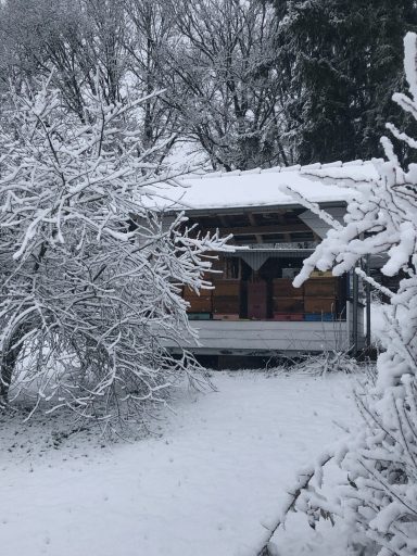 Bienenhaus im Schnee
