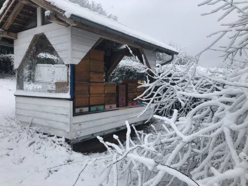 Bienenhaus im Schnee